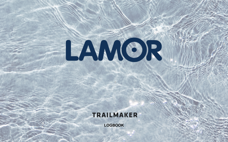 632b2f62d9c2901b109e871e_Lamor_Linkedin