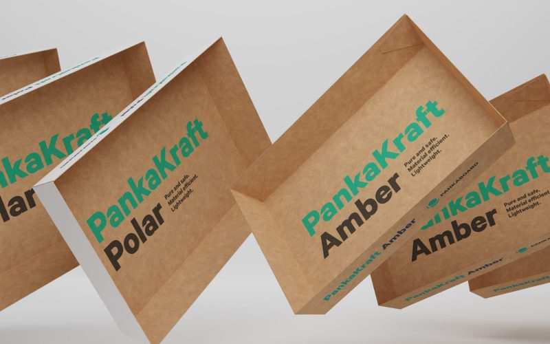 Pankaboard-trailmaker